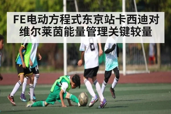 FE电动方程式东京站卡西迪对维尔莱茵能量管理关键较量